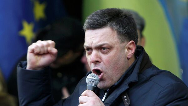 Лидер националистической партии Свобода Олег Тягнибок на народном вече в Киеве