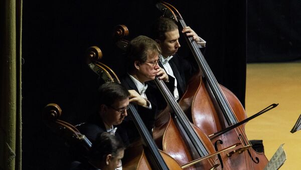 Концерт Симфонического оркестра Мариинского театра. Архивное фото