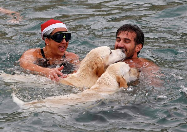 Участники благотворительного заплыва с собаками на Мальте