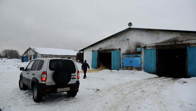 Полиция в Костроме задержала банду рецидивистов, устроивших резню в коровнике, фото с места события