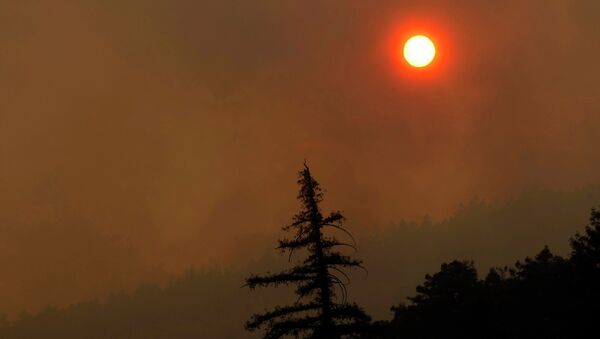 Дым над районом Биг-Сур в Калифорнии. Фото с места событий