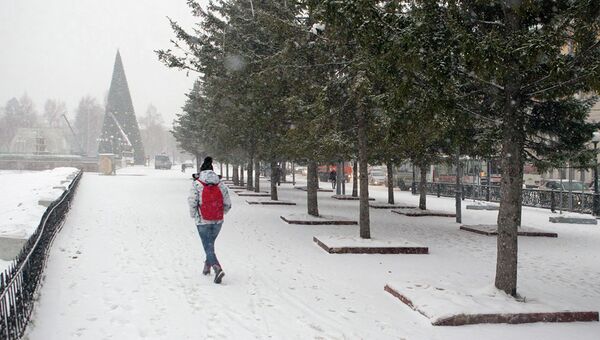Томичка идет по Новособорной площади во время снегопада в Томске, архивное фото