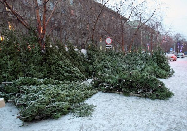 Новогодняя 28 новосибирск