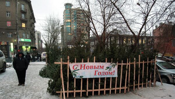 Продажа новогодних елей на улице в Новосибирске, архивное фото