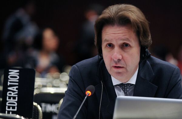 Координатор российской делегации на переговорах в Бонне Олег Шаманов