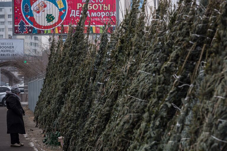 Продажа елок во Владивостоке Продажа елок во Владивостоке