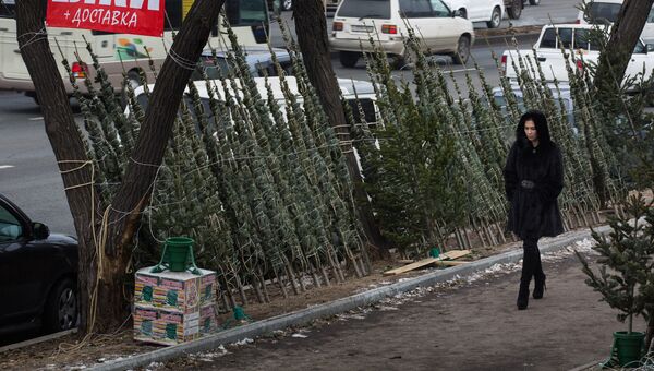 Продажа елок во Владивостоке