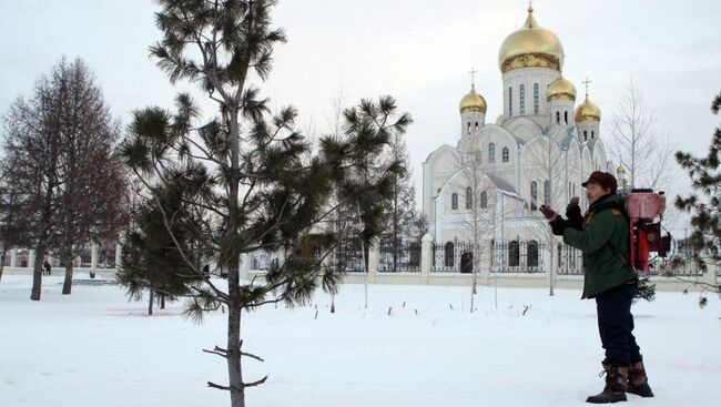 Антивандальная обработка елей в парках Новосибирска