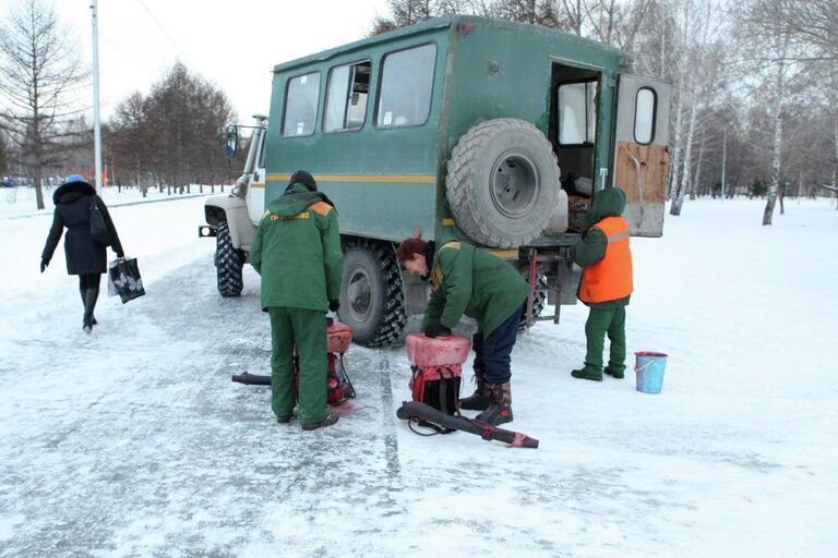 Антивандальная обработка елей в парках Новосибирска