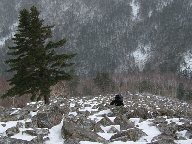 Вершина горы Пидан в Приморском крае зимой, высота - 1322 метра над уровнем моря Вершина горы Пидан в Приморском крае зимой, высота - 1322 метра над уровнем моря