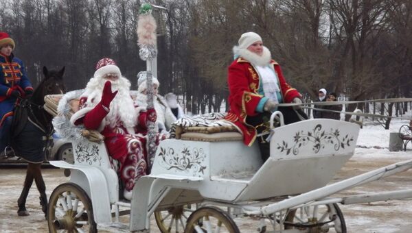 Лошада Деда Мороза в Иваново, фото с места события