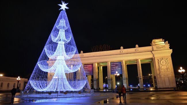 Елка у главного входа в Центральный парк культуры и отдыха имени Горького