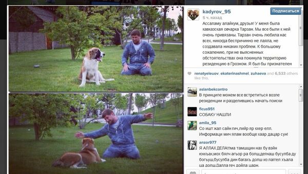 Скриншот Instgram Рамзана Кадырова с объявлением о пропаже его собаки