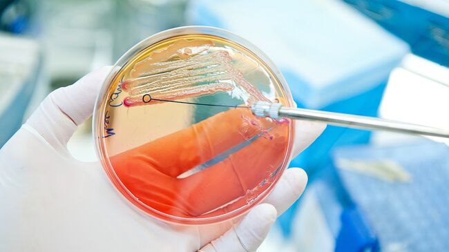 Лабораторные исследования