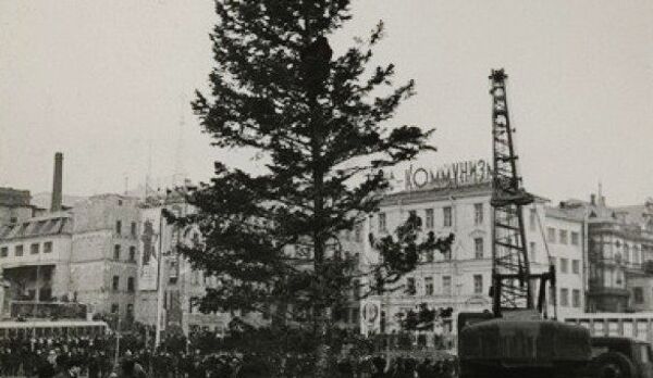 1970-е годы: елка на главной площади Владивостока,  В советские времена общегородские елки были родом из тайги или из приморских лесхозов.
