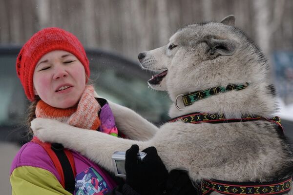Рождественская гонка ездовых собак под Новосибирском