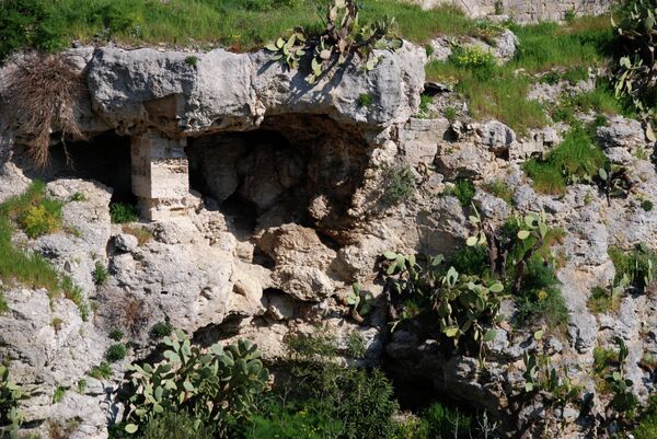 Под сенью кактусов.