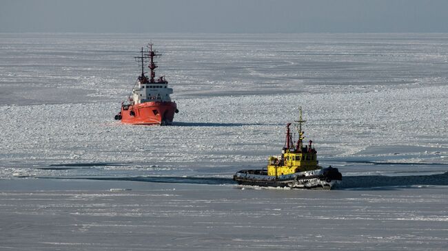 Мороз во Владивостоке