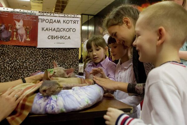 Выставка декоративных животных Маленький да удаленький в Томске