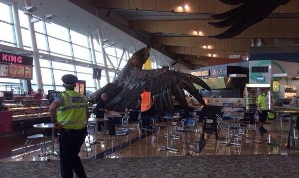 Гигантский орел из Хоббита в аэропорту новозеландской столицы. Фото с места события