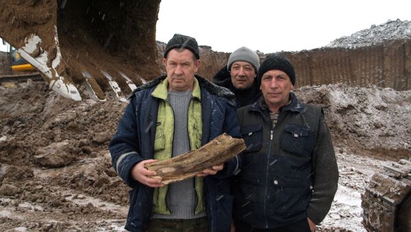 Рабочие с бивнем мамонта в Кемеровской области, фото с места события