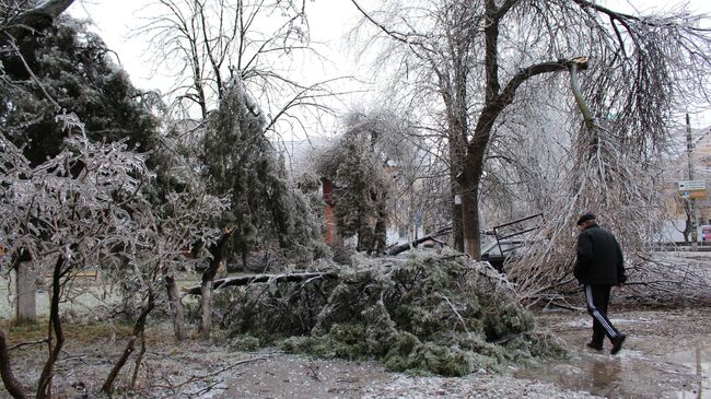 Последствия ледяного дождя в Краснодаре, 22.01.2014