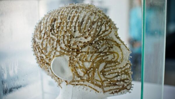 Механизмы взаимодействия лапши и человеческой головы на биеннале наукоемкого искусства Яблоко Мебиуса в Новосибирске