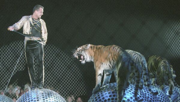 Аттракцион Тигры на зеркальных шарах под руководством Мстислава Запашного. Архивное фото
