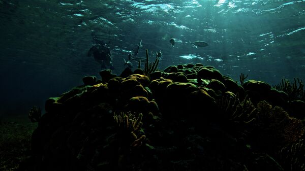 Подводный мир близ белизского острова Гоффс-Кей