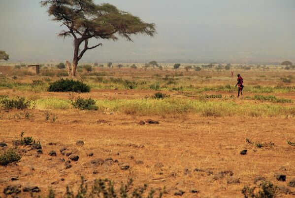 Мужчина масаи, Кения