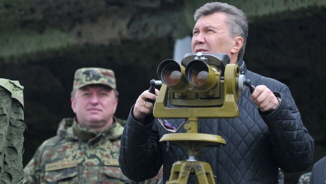 Президент Украины Виктор Янукович. Архивное фото