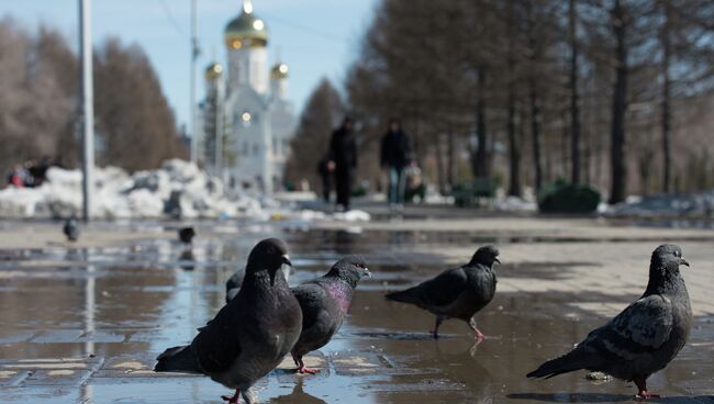 Весенним днем в Новосибирске, архивное фото