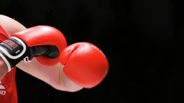 Боксерские перчатки. Архивное фото