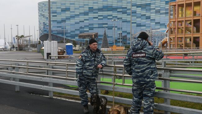 Сотрудники полиции на территории Олимпийского парка в Сочи, архивное фото