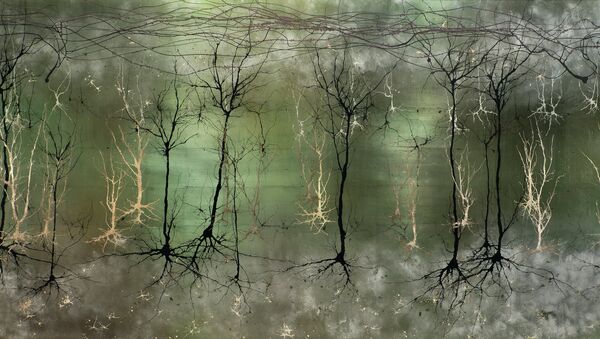 Визуализация сложной структуры коры головного мозга, напоминающей лес. Архивное фото