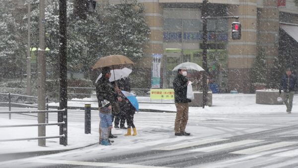 Cнег в Токио