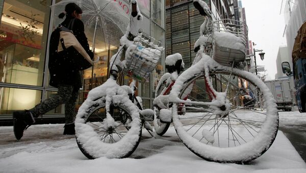 Последствие сильного снегопада в Токио