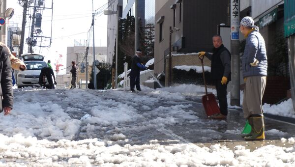 Жители Токио вышли на уборку снега, фото с места события