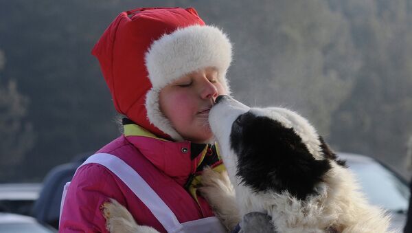 Девочка и собака в Красноярске, архивное фото