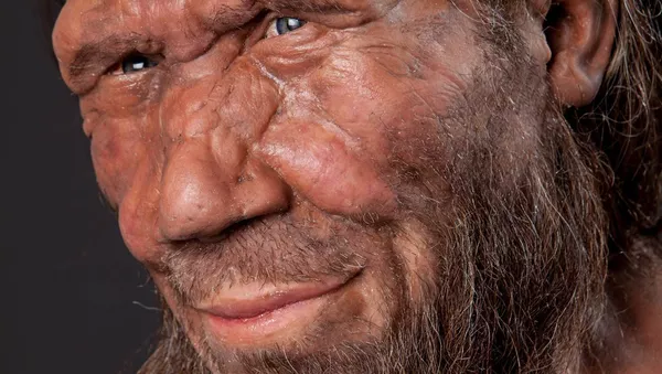 Модель неандертальца