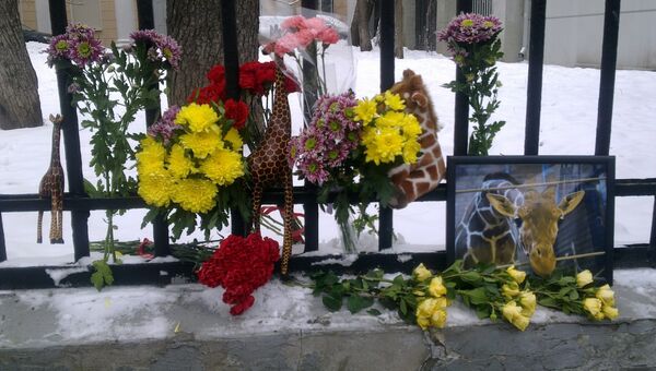 Защитники животных принесли цветы к посольству Дании в Москве в память об убитом жирафе