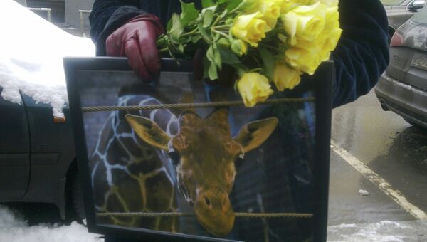 Защитники животных принесли цветы к посольству Дании в Москве в память об убитом жирафе. Архивное фото