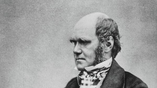 Английский учёный-естествоиспытатель Чарльз Дарвин