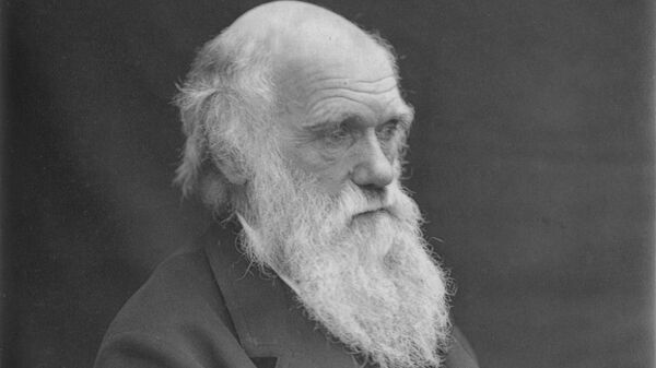 Английский ученый-естествоиспытатель Чарльз Дарвин