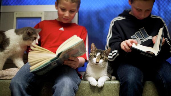 Дети читают книги кошкам в рамках The Book Buddies Program, направленной на спасение животных
