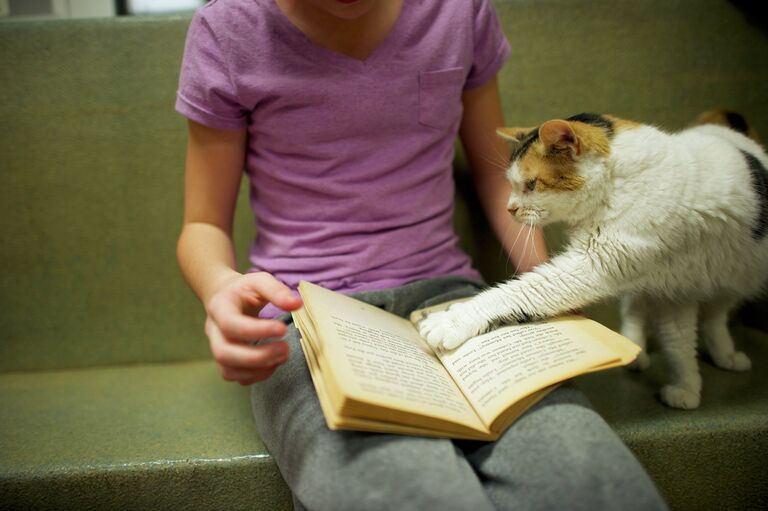 Ребенок читает книгу кошке в рамках The Book Buddies Program, направленной на спасение животных