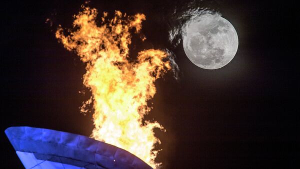 Факел Олимпиады в Олимпийском парке Сочи.