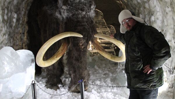 Чучело детеныша мамонта в туристическом комплексе Царство вечной мерзлоты в Якутии
