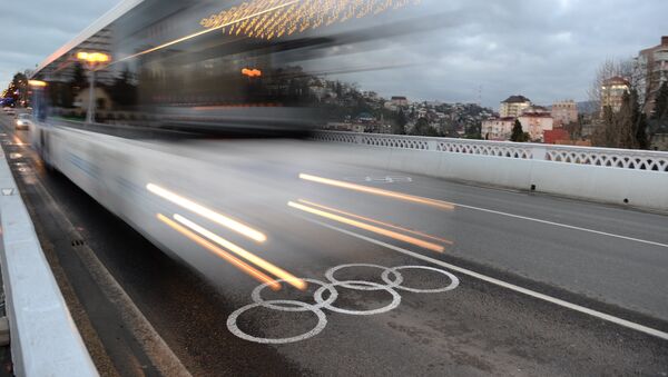 Олимпийские игры в Сочи, архивное фото