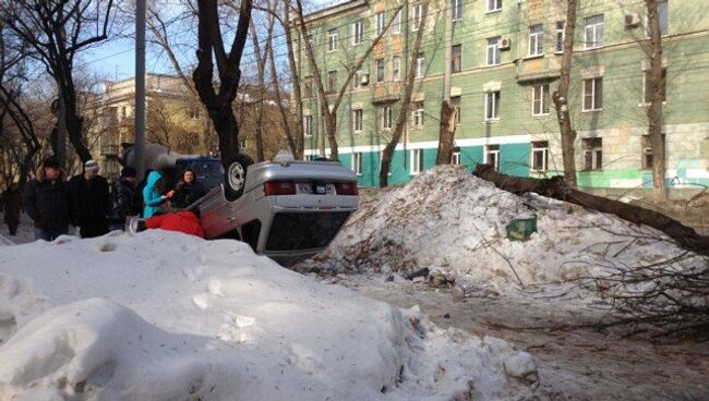 Легковой автомобиль снес дерево в Самаре